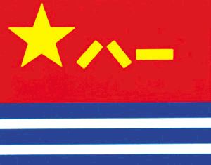 chinese navy flag, pla navy flag