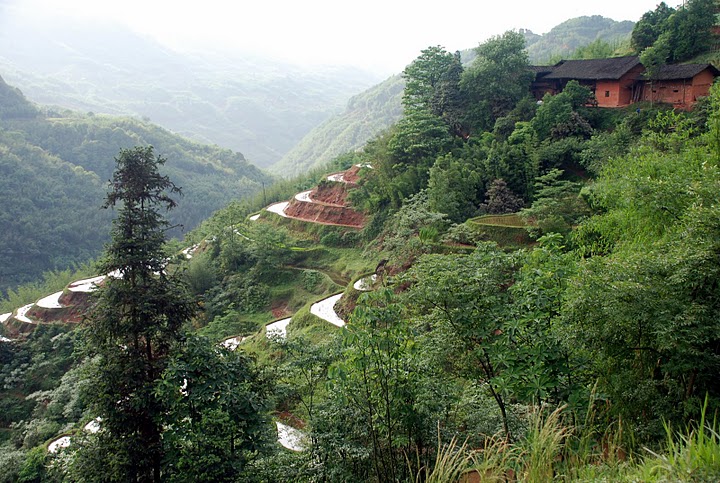 guizhou travel pictures, small rice fields in guizhou's mountain area