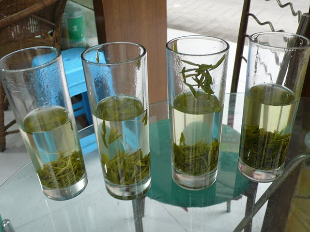 green tea made in guizhou, guizhou tour picture