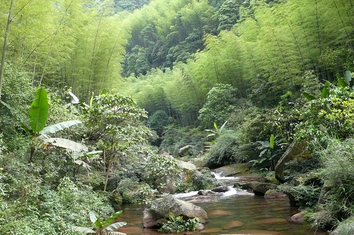 scenery of guizhou, guizhou travel picture
