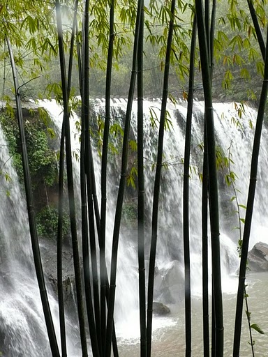 guizhou scenery, bamboo and waterfall