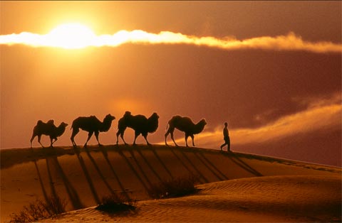 Desert Traveler, Xinjiang pictures