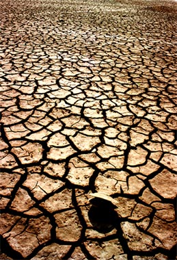 dry soil, xinjiang picture