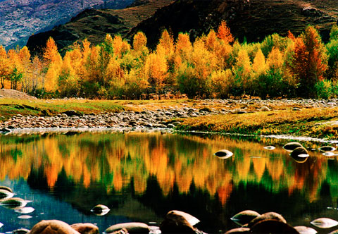xinjiang picture,golden pond