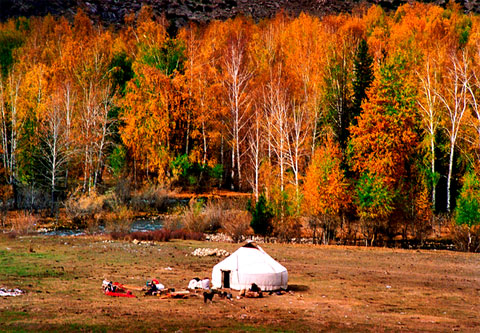  Xinjiang pictures, Yurt in Kanasi, by Chen Hui