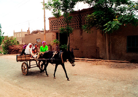 donkey cart in xinjiang, xinjiang travel pictures