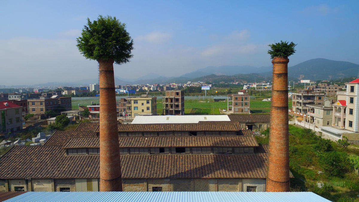 Trees are growing inside two chimneys at an abandoned factory at Quanzhou, Fujian Province