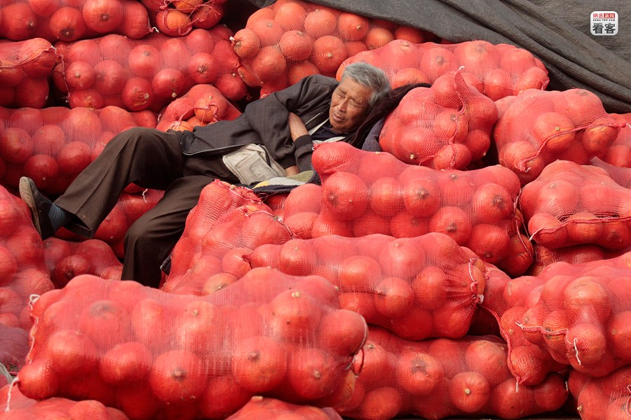 A vendor sleeps on pumpkin bags